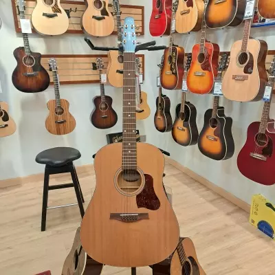 Store Special Product - Seagull S6 Original